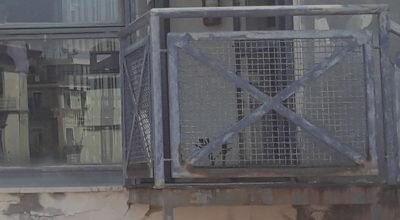 immagine dell'articolo