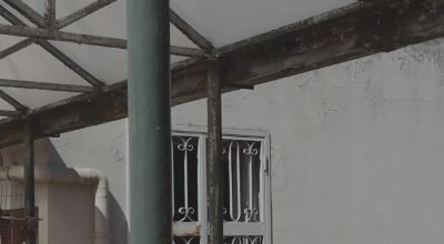 immagine dell'articolo