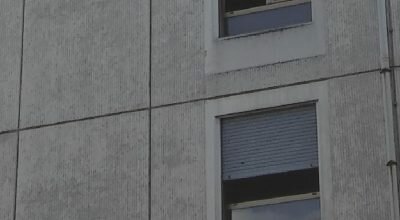 immagine dell'articolo