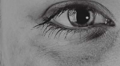 immagine dell'articolo