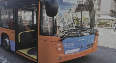 immagine dell'articolo