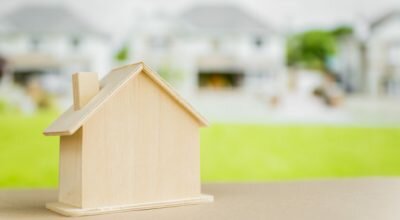 immagine dell'articolo