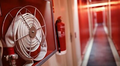 immagine dell'articolo