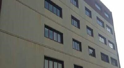 immagine dell'articolo