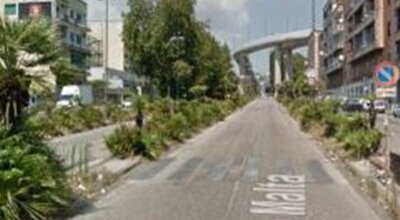 immagine dell'articolo