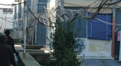 immagine dell'articolo