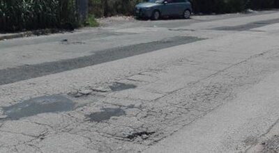 immagine dell'articolo